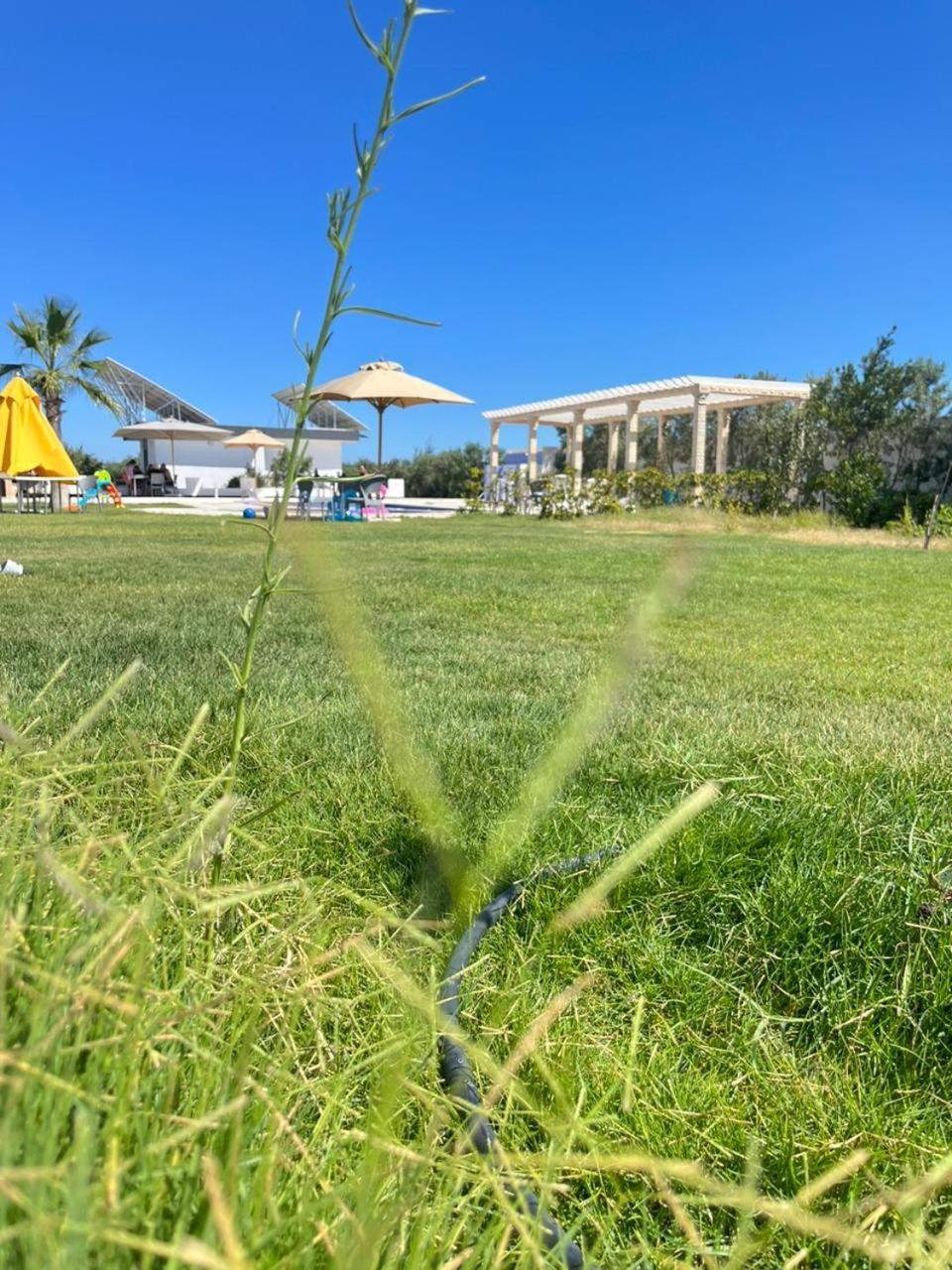 Villa Olivia, Yasmine Hammamet, Bouficha Экстерьер фото