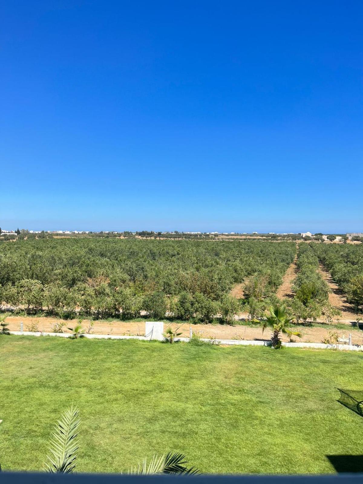 Villa Olivia, Yasmine Hammamet, Bouficha Экстерьер фото